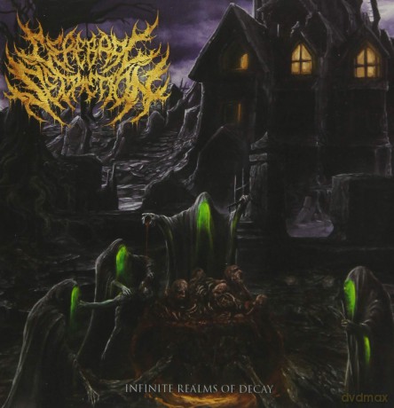 Cerebral Secretion: Infinite Realms Of Decay [CD]