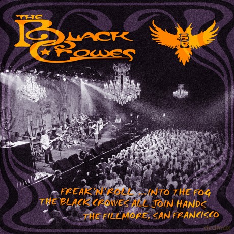 The Black Crowes: Into The Fog [CD]