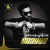 Shaggy: Intoxication [CD]