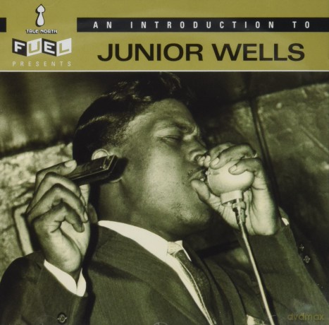 Junior Wells: Introduction To [CD]