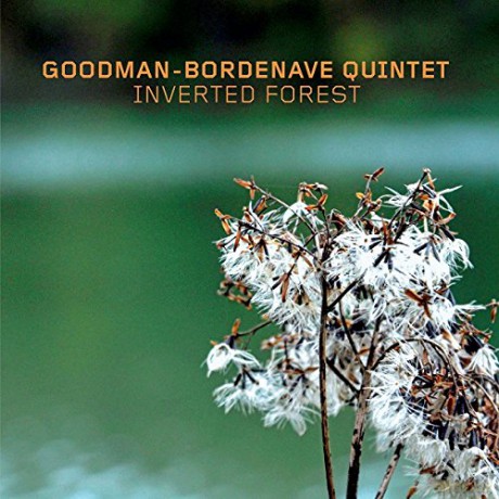 Goodman-Bordenave Quintet: Inverted Forest [CD]