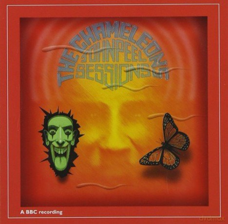 Chameleons: John Peel Sessions [CD]
