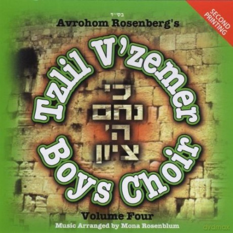 Tzlil v'zemer Boys Choir: Ki Nicham Hashem Tzion 4 [CD]