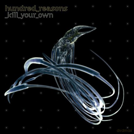 Hundred Reasons: Kill Your Own [CD]