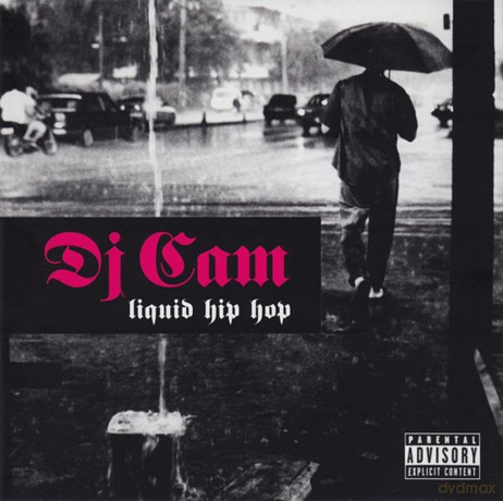 DJ Cam: Liquid Hip-Hop [CD]