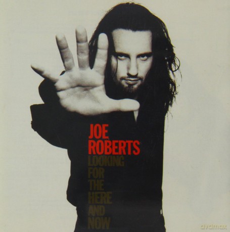 Joe Roberts: Looking for the Here and Now [CD]