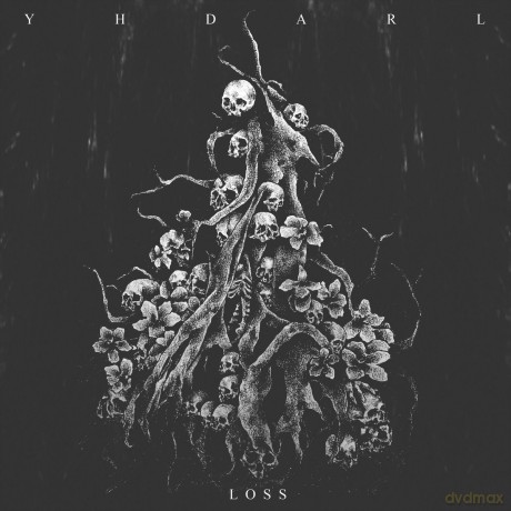 Yhdarl: Loss [CD]