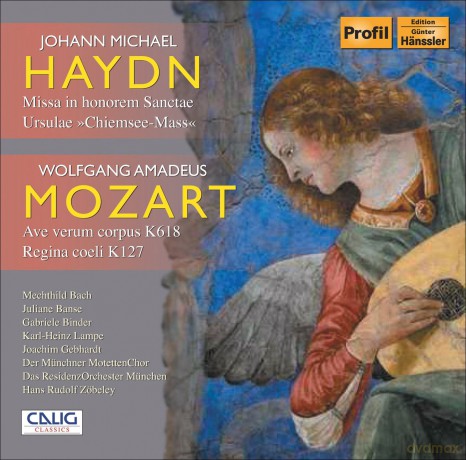 Josef Haydn: M.haydn: Chiemsee Mass [CD]