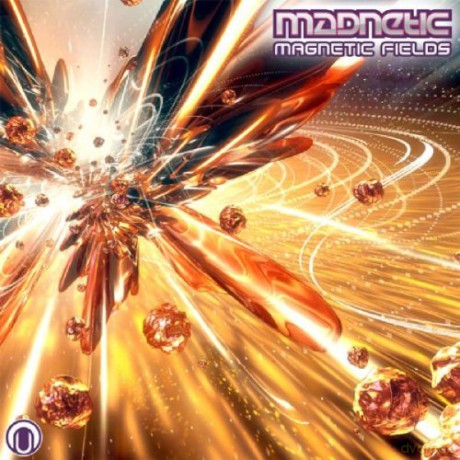 Mad Netic: Magnetic Fields [CD]