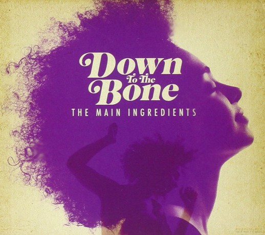 Down to the Bone: Main Ingredients [CD]