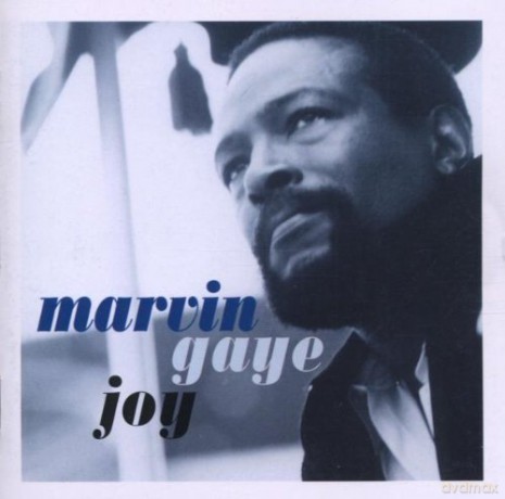 Marvin Gaye - Joy [CD]