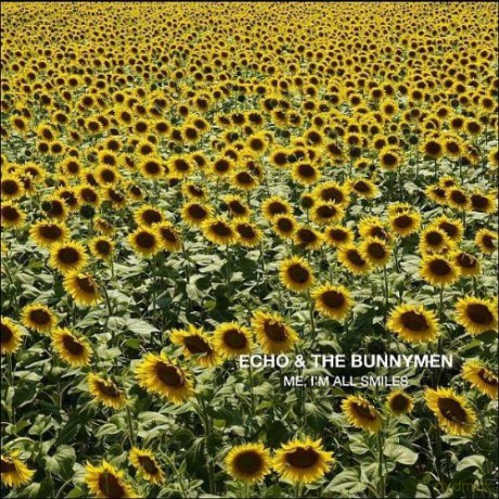 Echo And The Bunnymen: Me I'M All Smiles [CD]