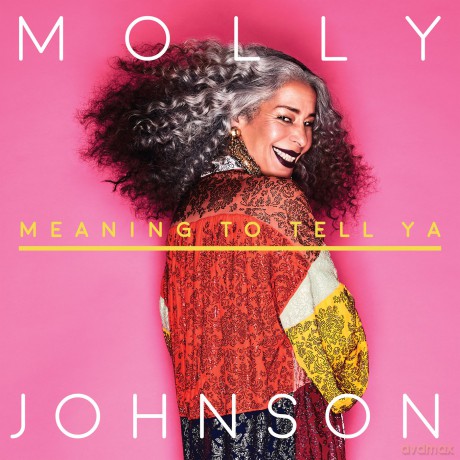 Molly Johnson: Meaning To Tell Ya [CD]