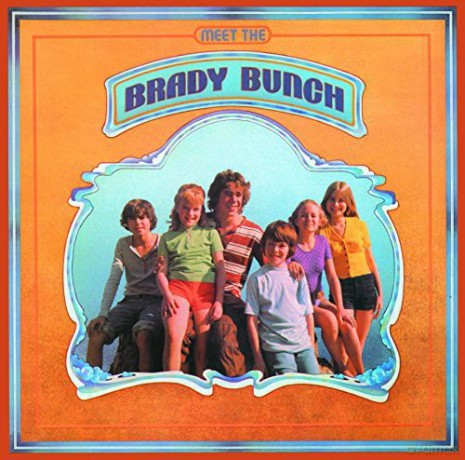 Brady Bunch: Meet the Brady Bunch [CD]