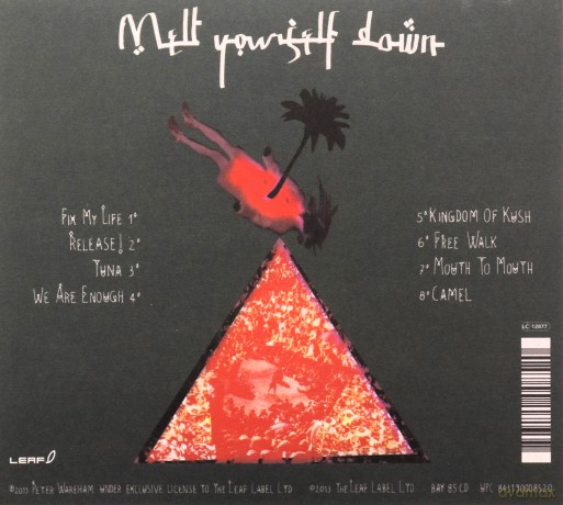 Melt Yourself Down: Melt Yourself Down [CD]