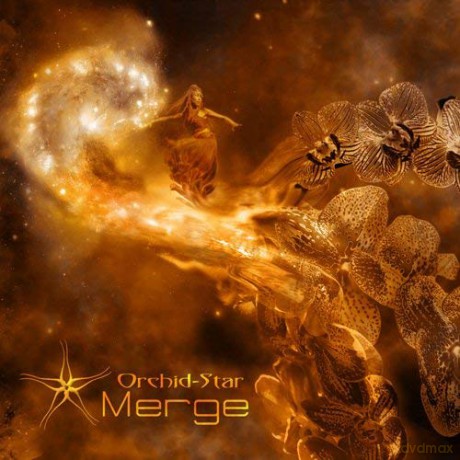 Merge: Merge [CD]