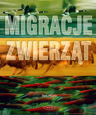 Migracje zwierząt - Ben Hoare [KSIĄŻKA]
