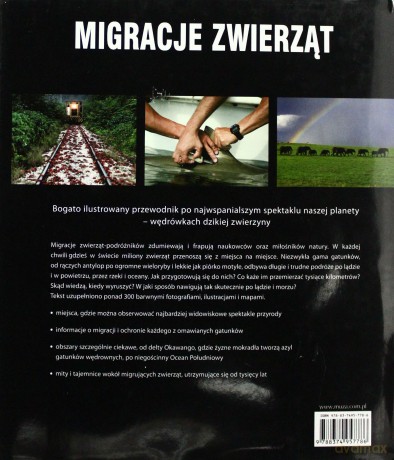 Migracje zwierząt - Ben Hoare [KSIĄŻKA]