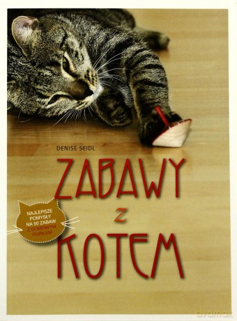 Zabawy z kotem - Denise Seidl [KSIĄŻKA]