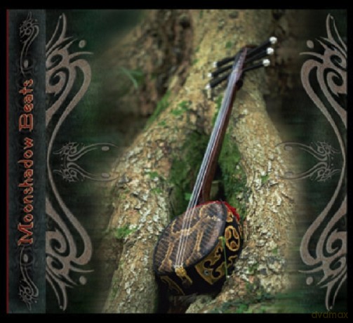 Moonshadow Beats [CD]
