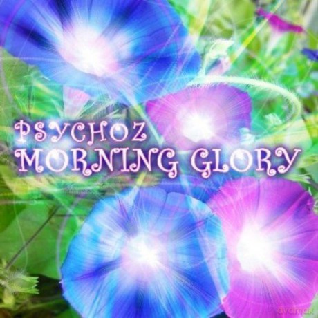 Psychoz: Morning Glory [CD]