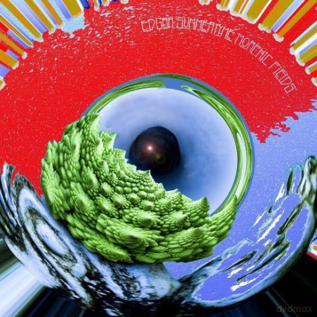 Edgar Summertyme: Morphic Fields [CD]
