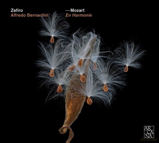Wolfgang Amadeus Mozart: Mozart: En Harmonie [CD]