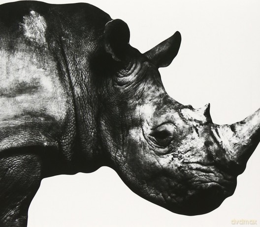 Mr. Children: Mr. Children: 1992-95 [CD]