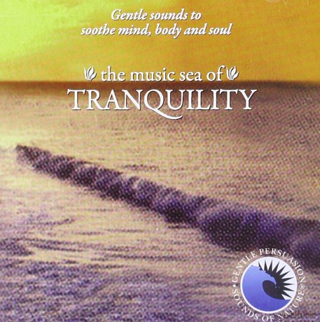 Chris Valentino: Musical Sea of Tranquility 1 [CD]