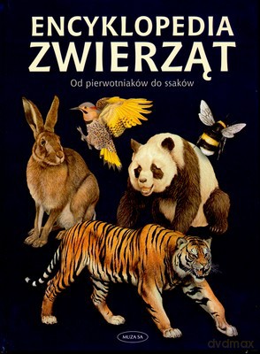 Encyklopedia zwierząt od pierwotniaków..niebie - Manuel Mongini Elena Marcon [KSIĄŻKA]