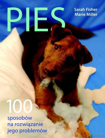 Pies. 100 sposobów na rozwiązanie jego problemów - Marie Miller, Sara Fisher [KSIĄŻKA]