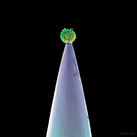 Peter Gabriel: New Blood [CD]