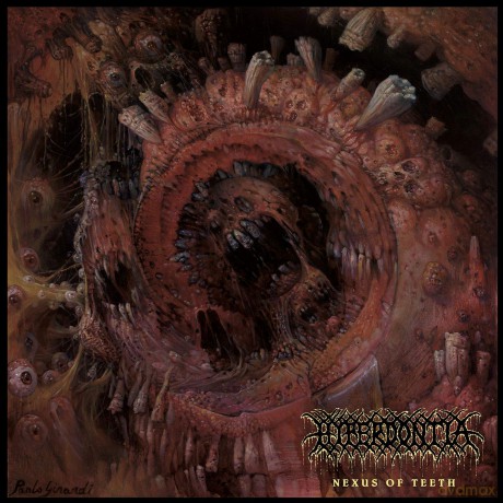 Hyperdontia: Nexus Of Teeth [CD]