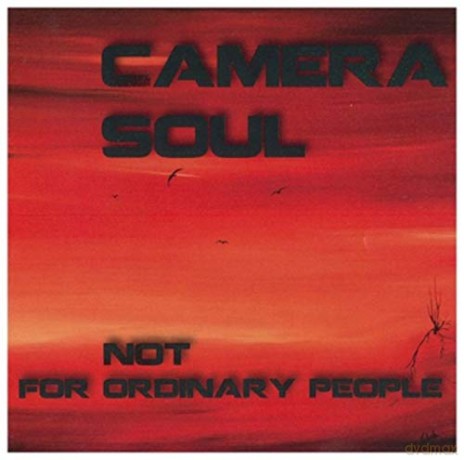 Camera Soul: Not For Ordinary People [CD]