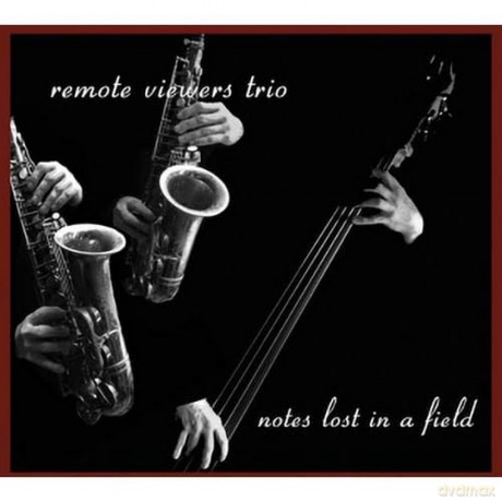 Remote Viewers Trio: Notes Lost In A Filed [CD]