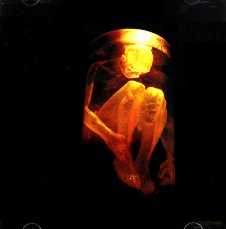 Alice In Chains: Nothing Safe: Best of the Box [CD]