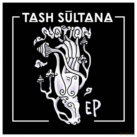 Tash Sultana: Notion [CD]