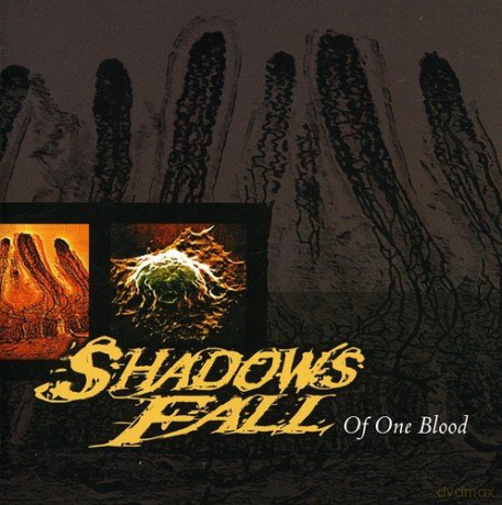 Shadows Fall: Of One Blood [CD]