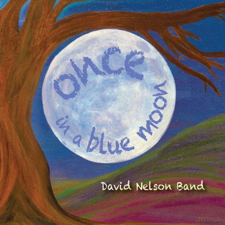 David Nelson: Once in a Blue Moon [CD]