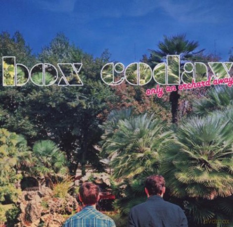 Box Codax: Only an Orchard Away [CD]