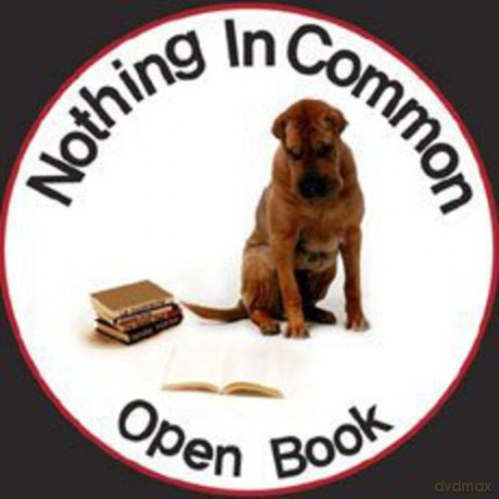 Nothing in Common: Open Book [CD]