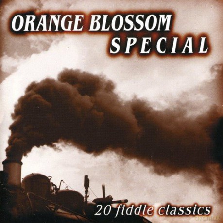 Orange Blossom Special: 20 Fiddle Classics [CD]