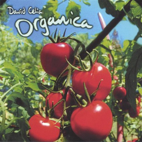 David Celia: Organica [CD]