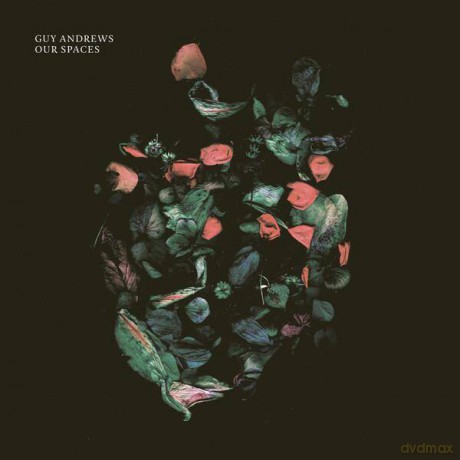 Guy Andrews: Our Spaces [CD]