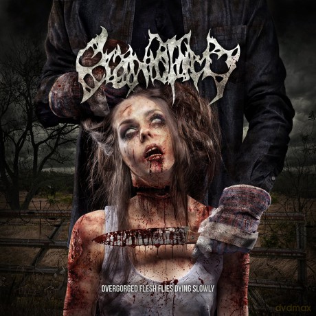 Craniotomy: Overgorged Flesh Flies Dying Slowly [CD]