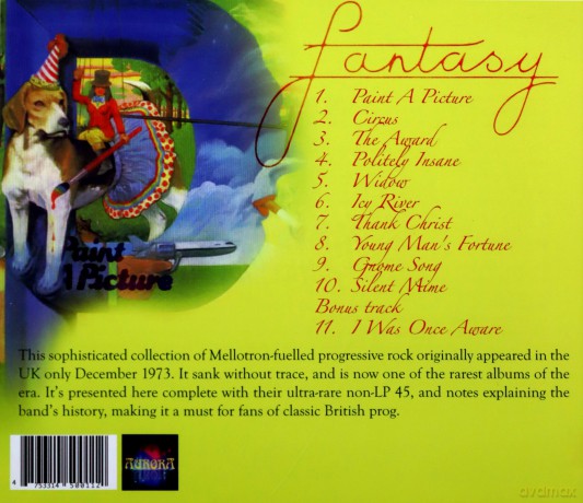 Fantasy: Paint a Picture [CD]