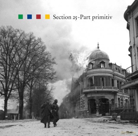 Section 25: Part-Primitiv [CD]