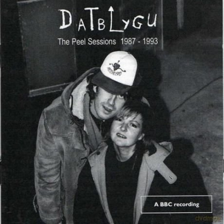 Datblygu: Peel Sessions 1987 -1993 [CD]