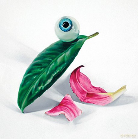 Petals Have Fallen [CD]