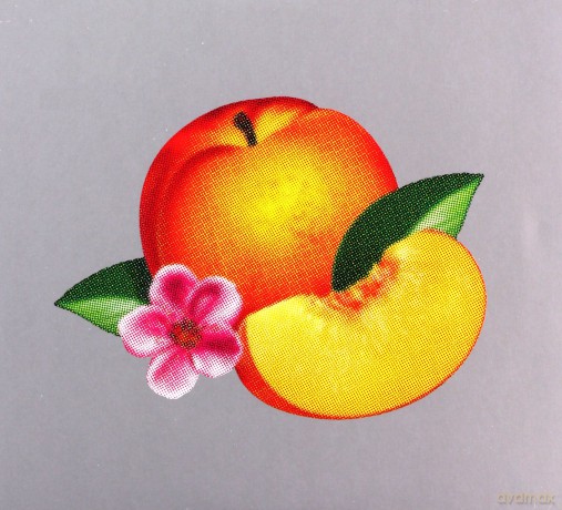 Phoenix: Phoenix - Bankrupt! : Deluxe Edition [2CD]